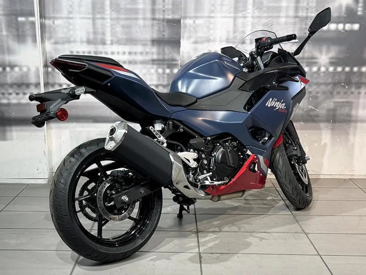 Kawasaki Ninja 500 SE (2024 - 26) (8)