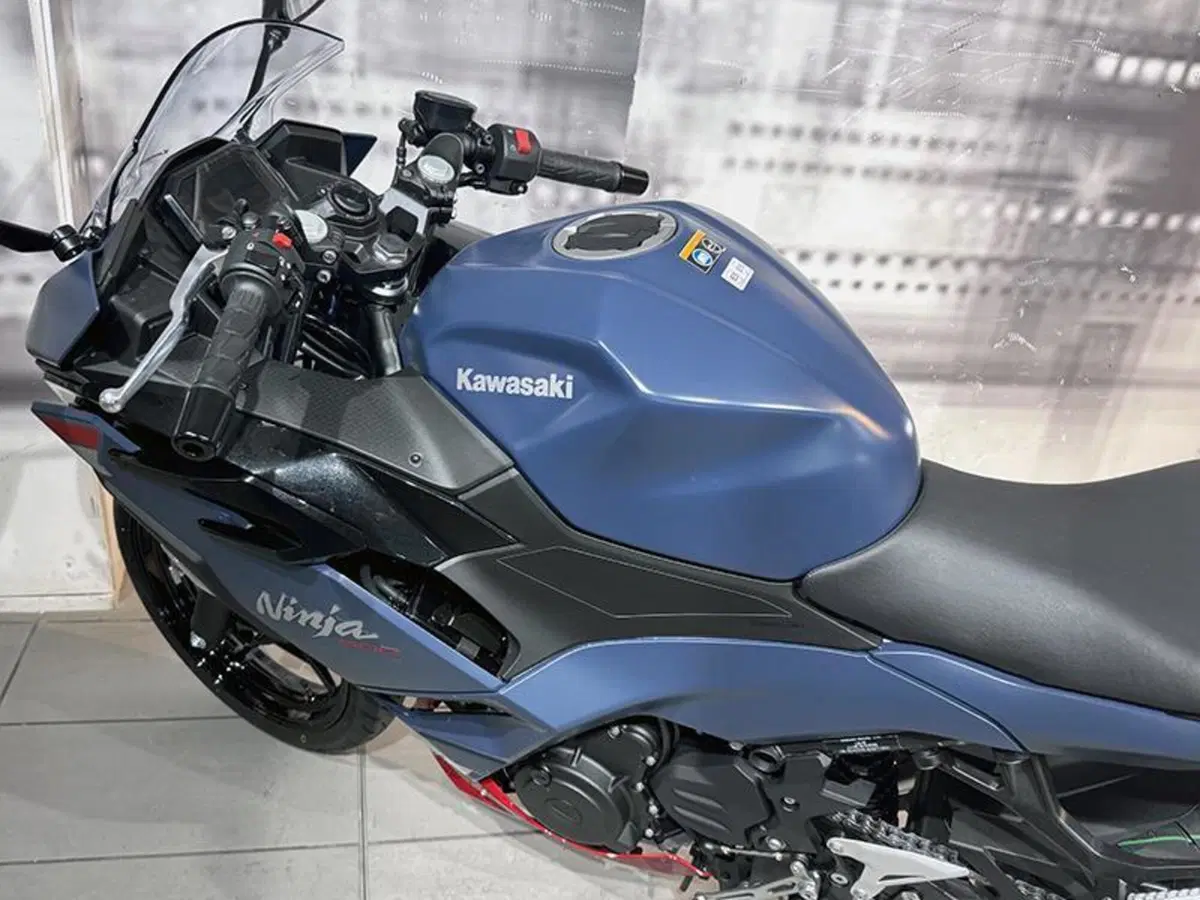 Kawasaki Ninja 500 SE (2024 - 26) (9)