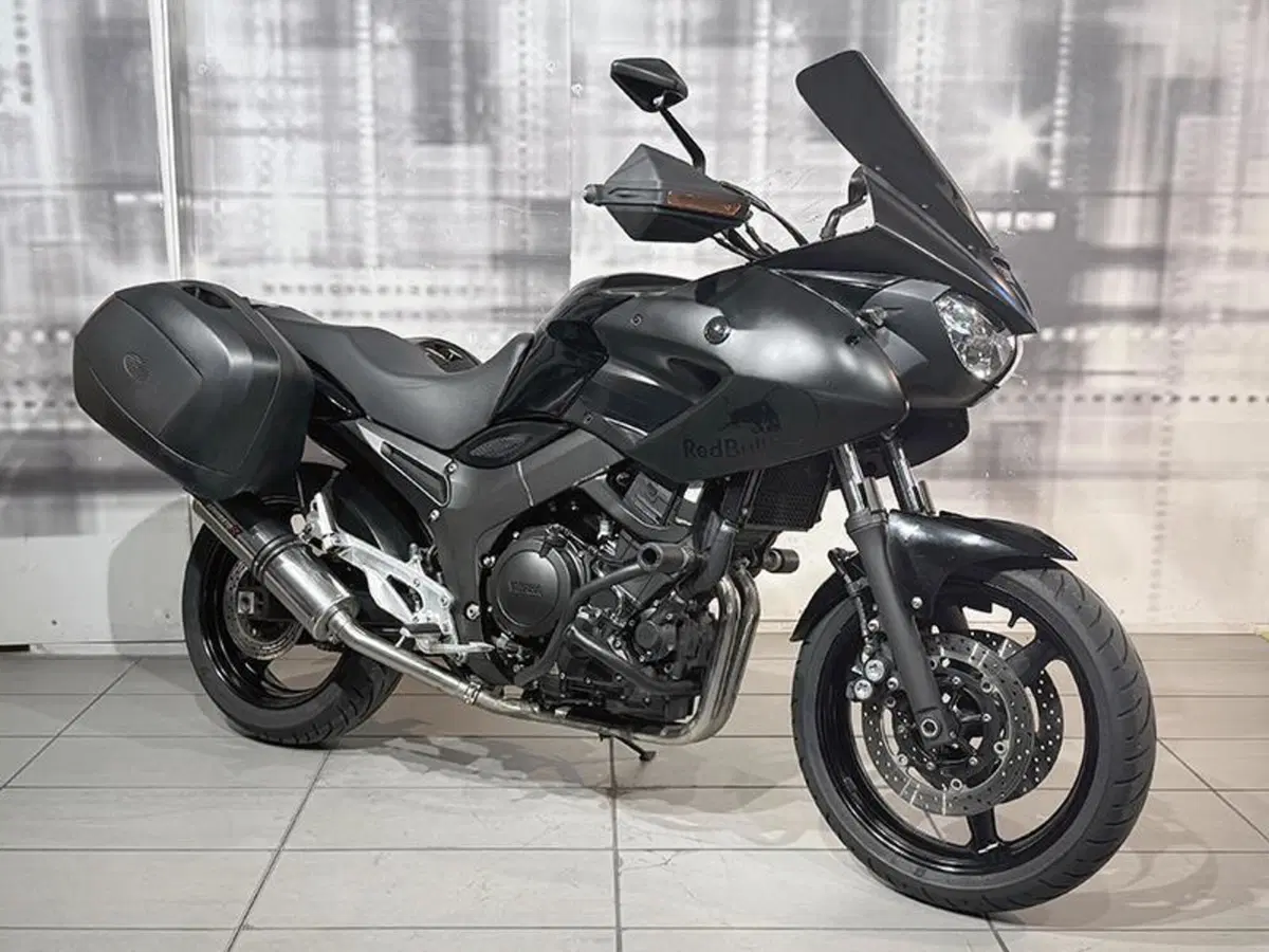 Yamaha TDM 900 (2002 - 14)