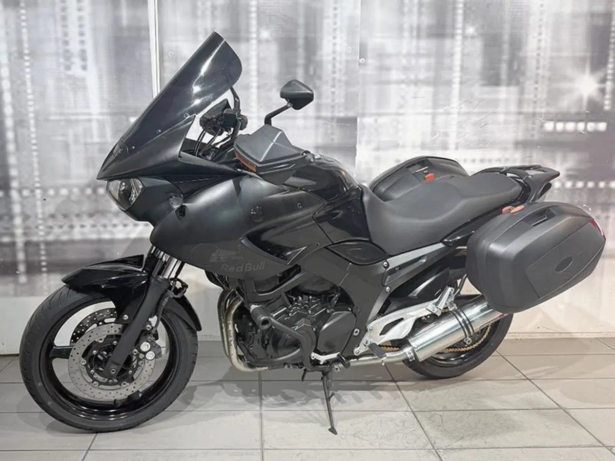 Yamaha TDM 900 (2002 - 14) (7)