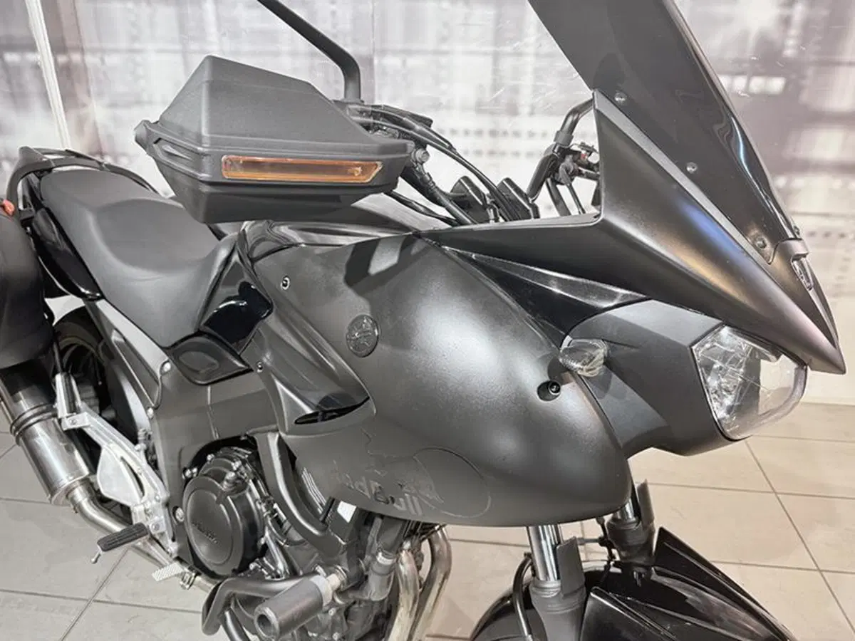 Yamaha TDM 900 (2002 - 14) (9)