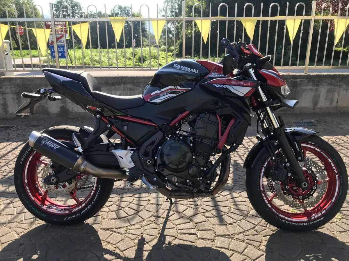 Kawasaki Z 650 (2021 - 24) (3)