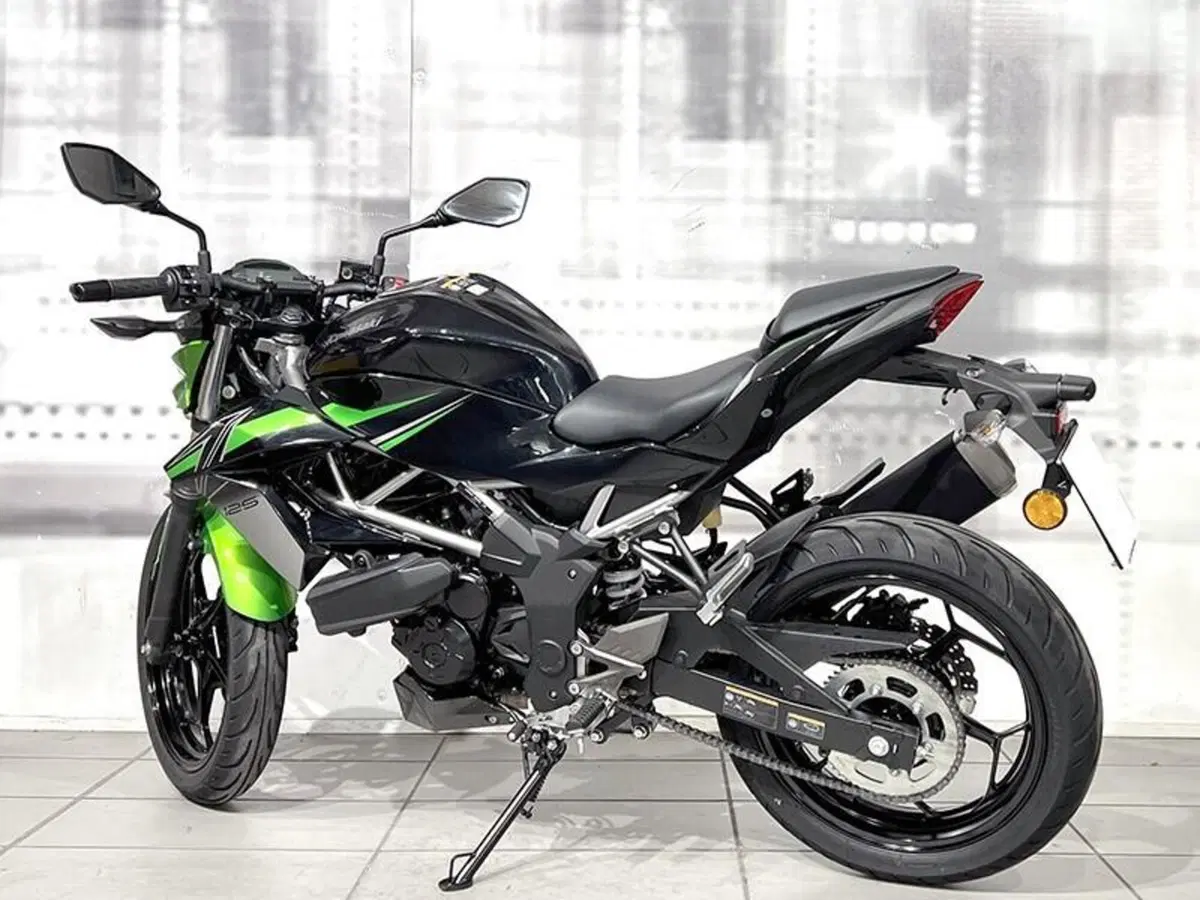 Kawasaki Z 125 (2021 - 24) (2)