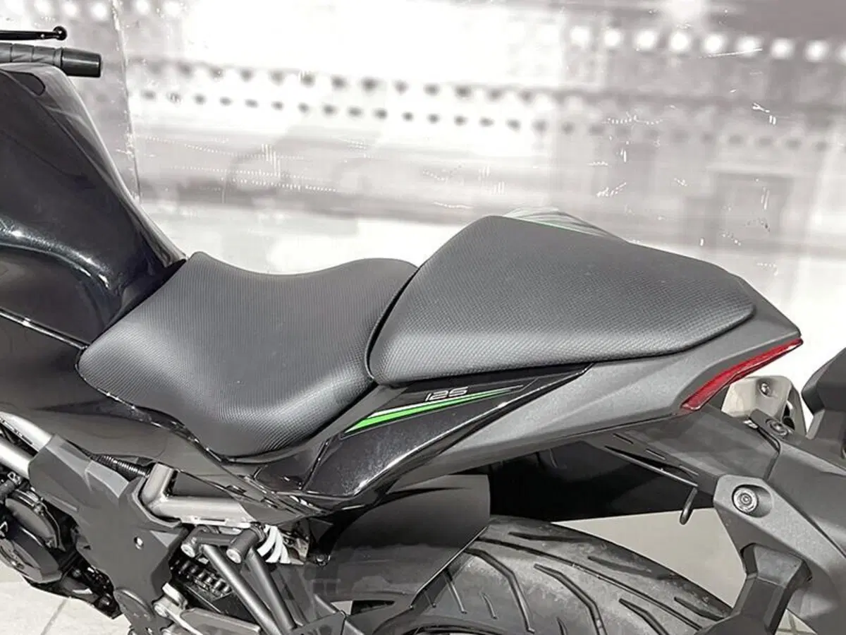 Kawasaki Z 125 (2021 - 24) (4)