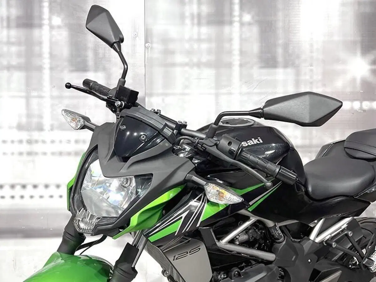 Kawasaki Z 125 (2021 - 24) (5)