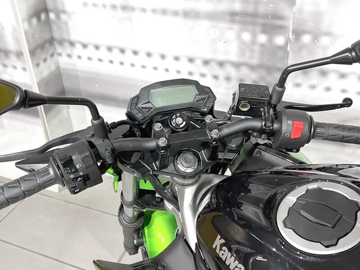 Kawasaki Z 125 (2021 - 24) (6)