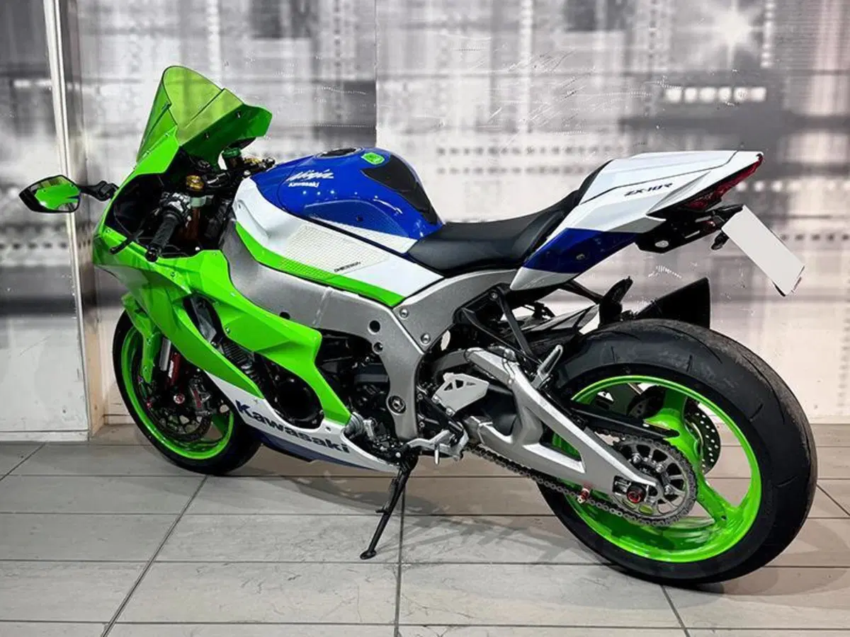 Kawasaki Ninja 1000 ZX-10R (2021 - 25) (2)
