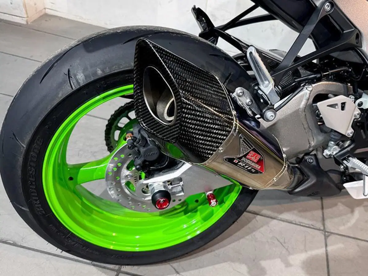 Kawasaki Ninja 1000 ZX-10R (2021 - 25) (3)