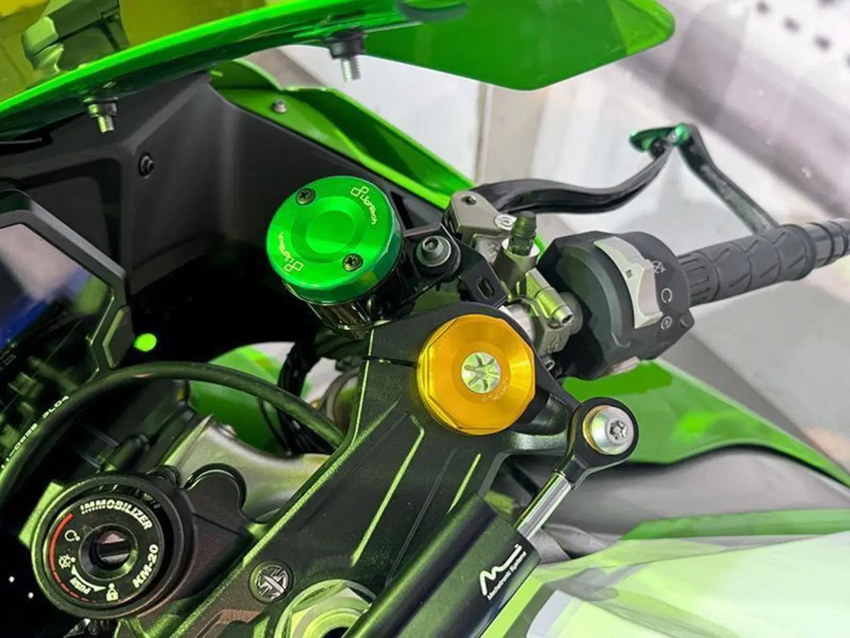 Kawasaki Ninja 1000 ZX-10R (2021 - 25) (6)