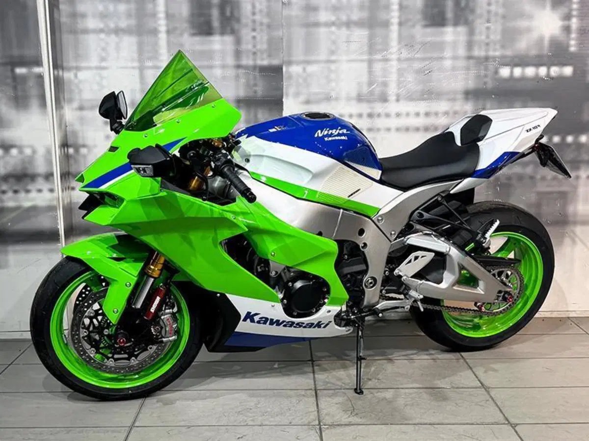 Kawasaki Ninja 1000 ZX-10R (2021 - 25) (7)