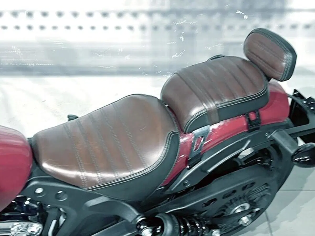 Indian Scout 1133 (2017 - 19) (4)