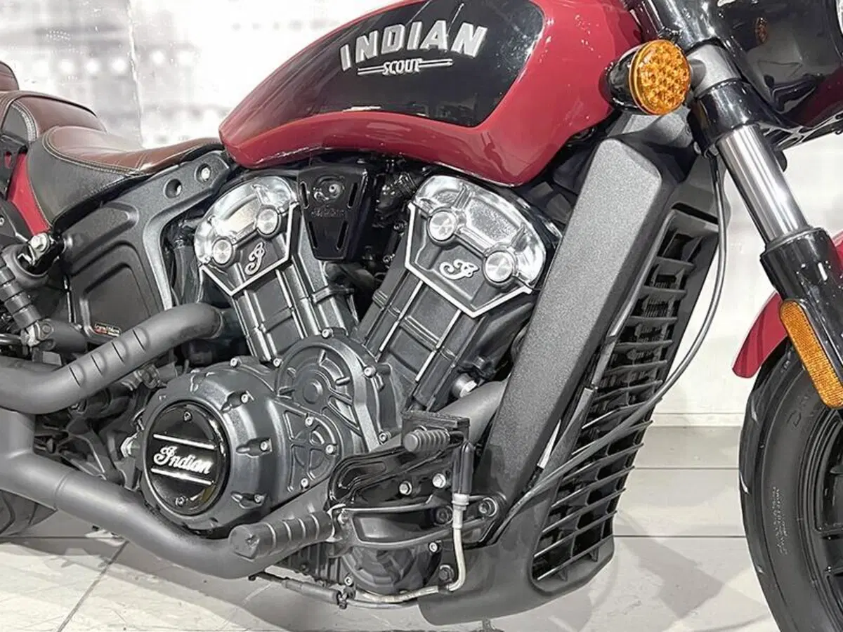 Indian Scout 1133 (2017 - 19) (5)