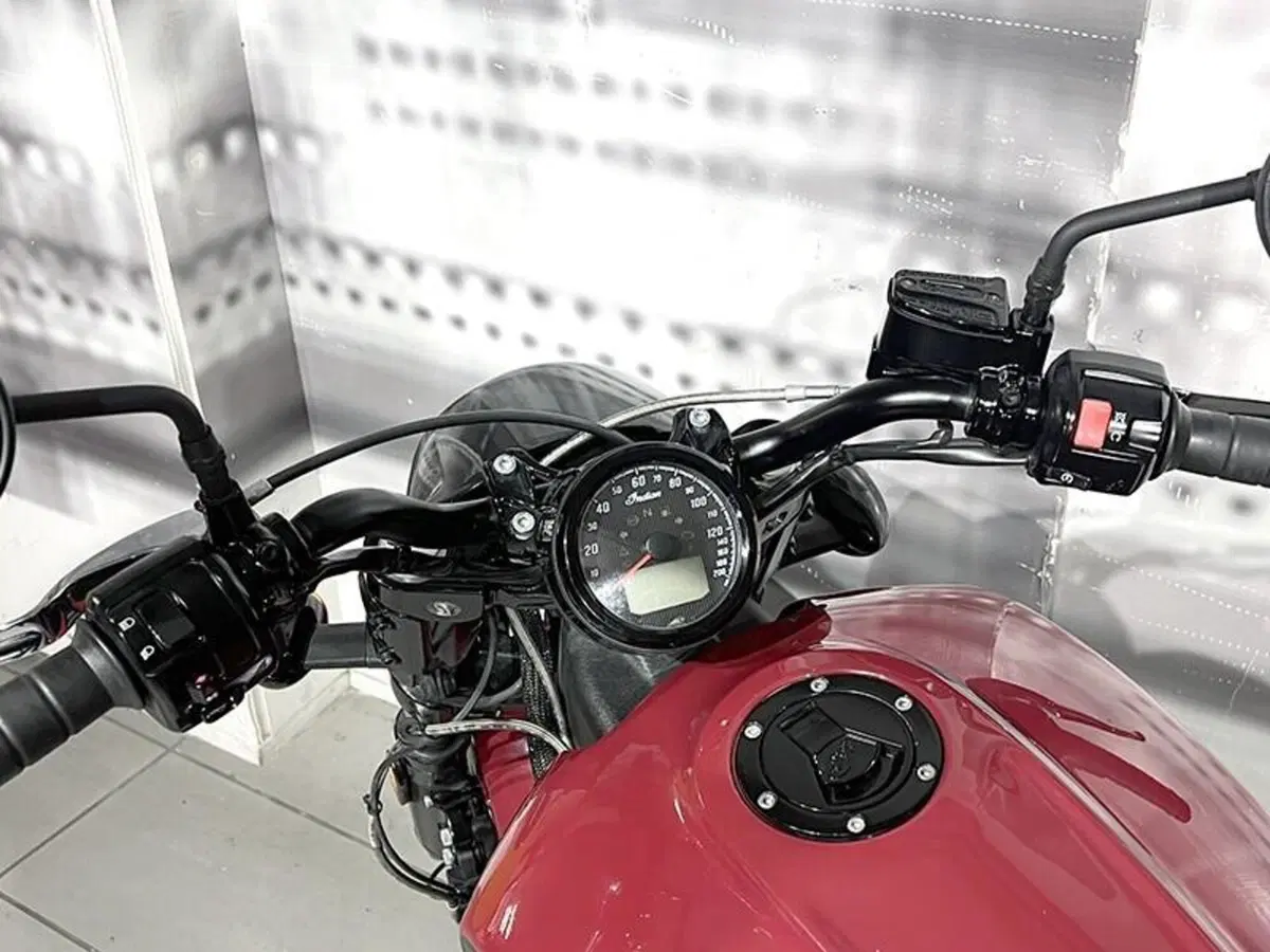 Indian Scout 1133 (2017 - 19) (6)