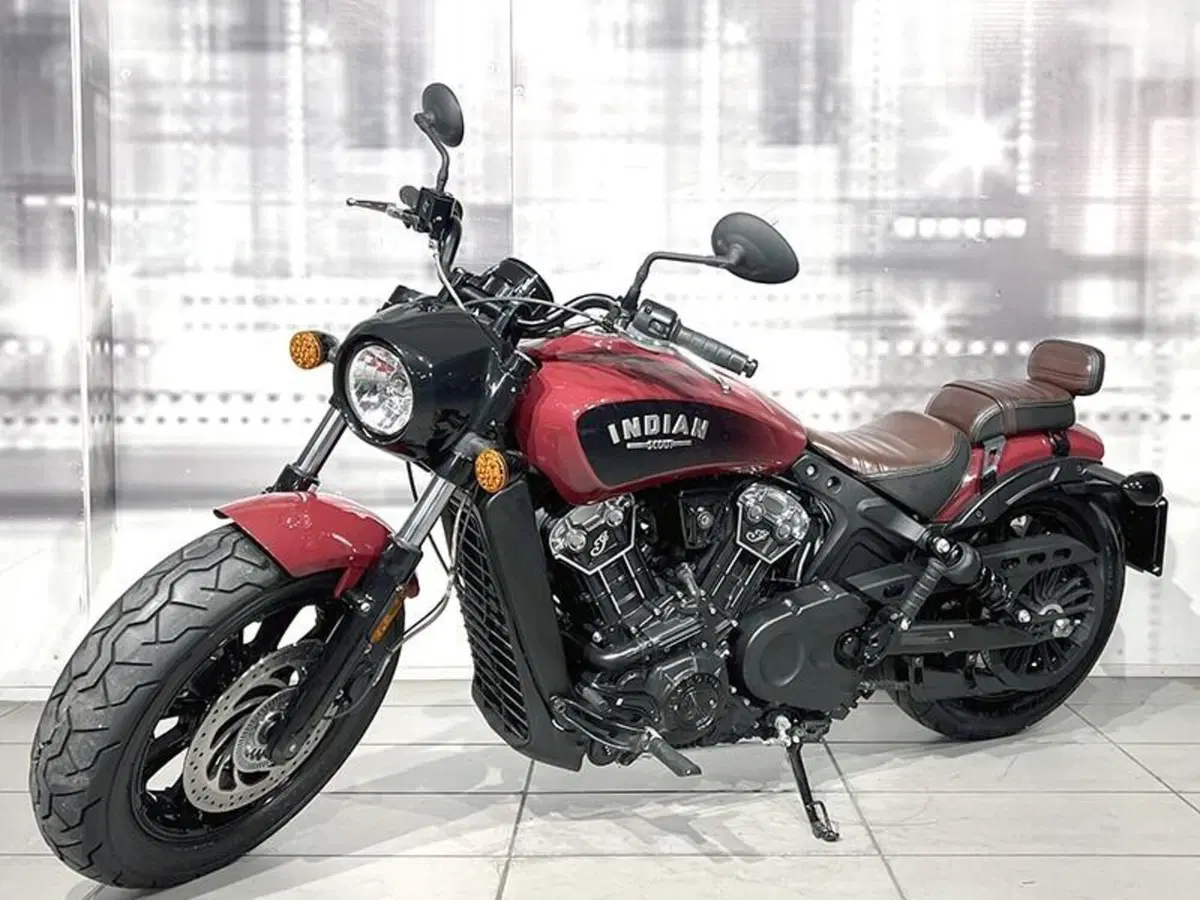 Indian Scout 1133 (2017 - 19) (7)
