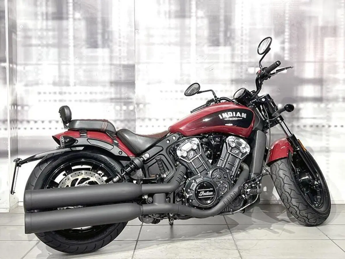 Indian Scout 1133 (2017 - 19) (8)