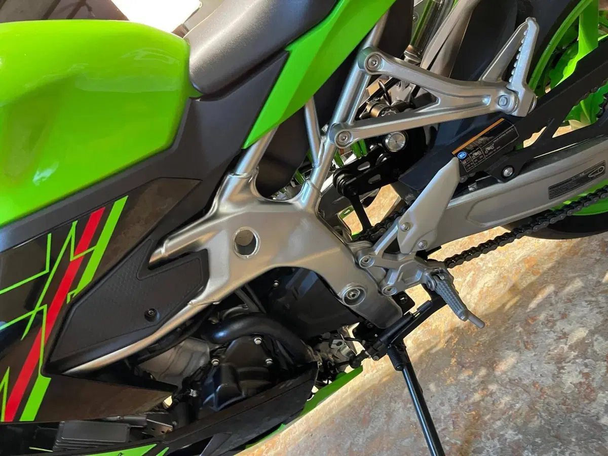 Kawasaki Ninja ZX-4RR (2024 - 26) (14)