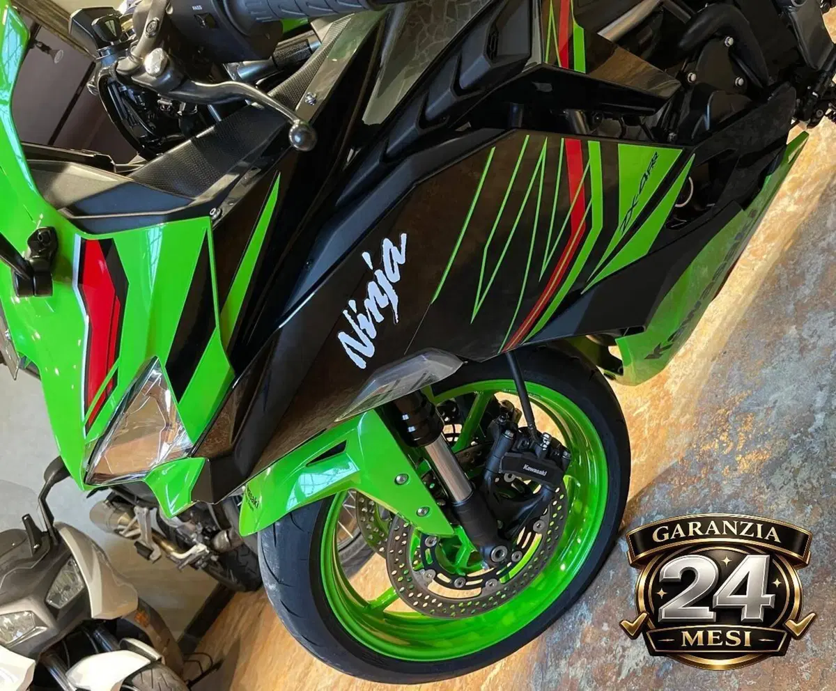Kawasaki Ninja ZX-4RR (2024 - 26) (16)