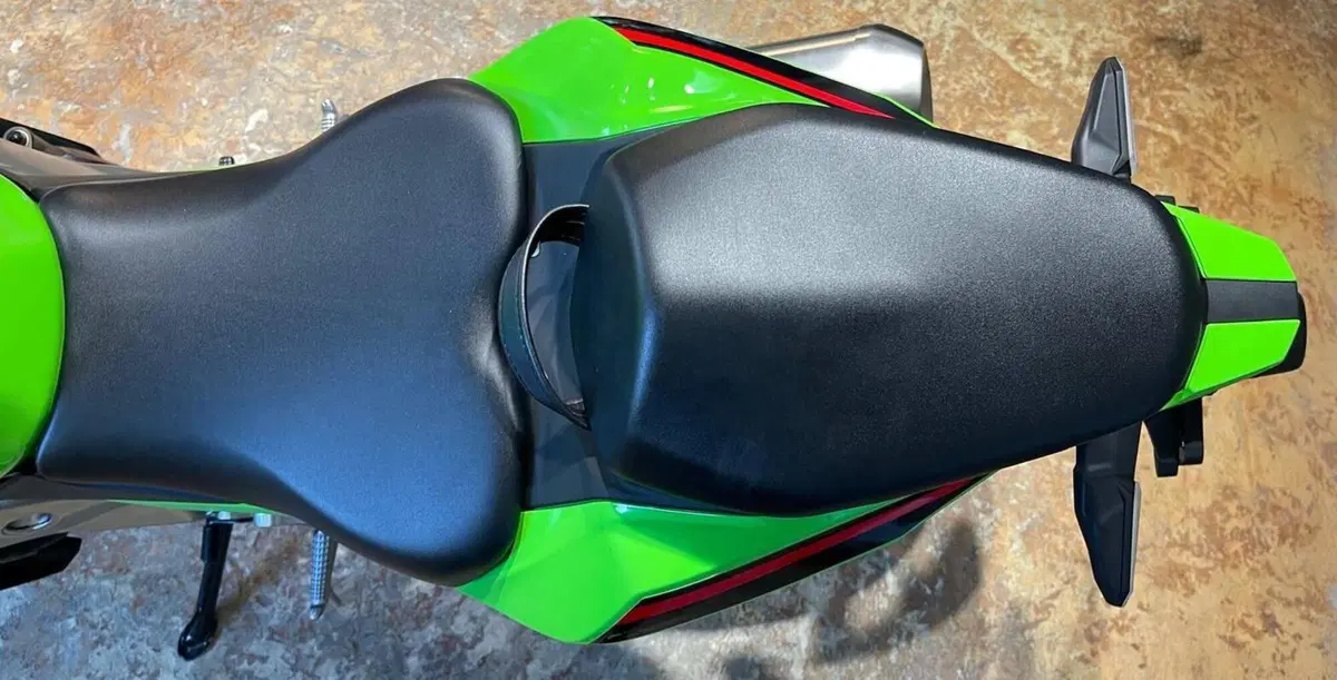 Kawasaki Ninja ZX-4RR (2024 - 26) (17)
