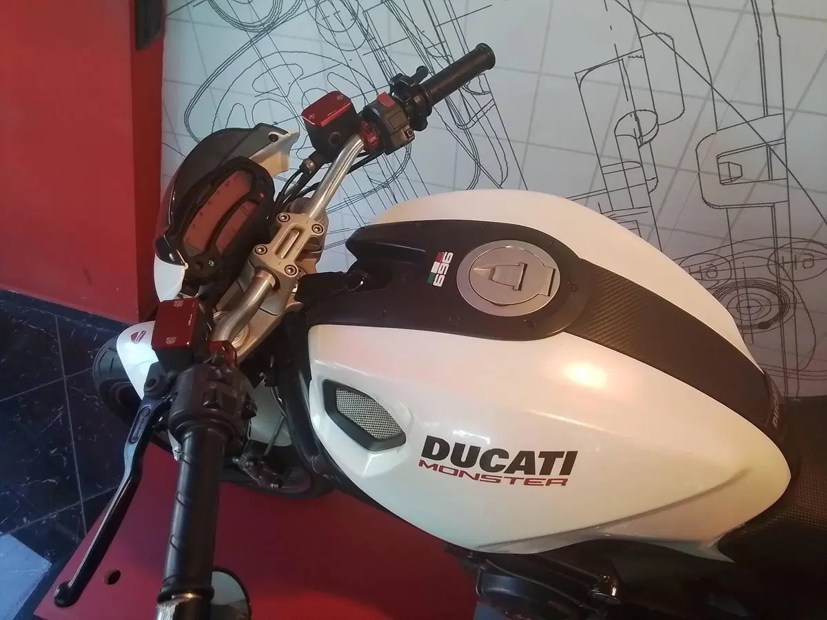 Ducati Monster 696 (2008 - 13) (4)