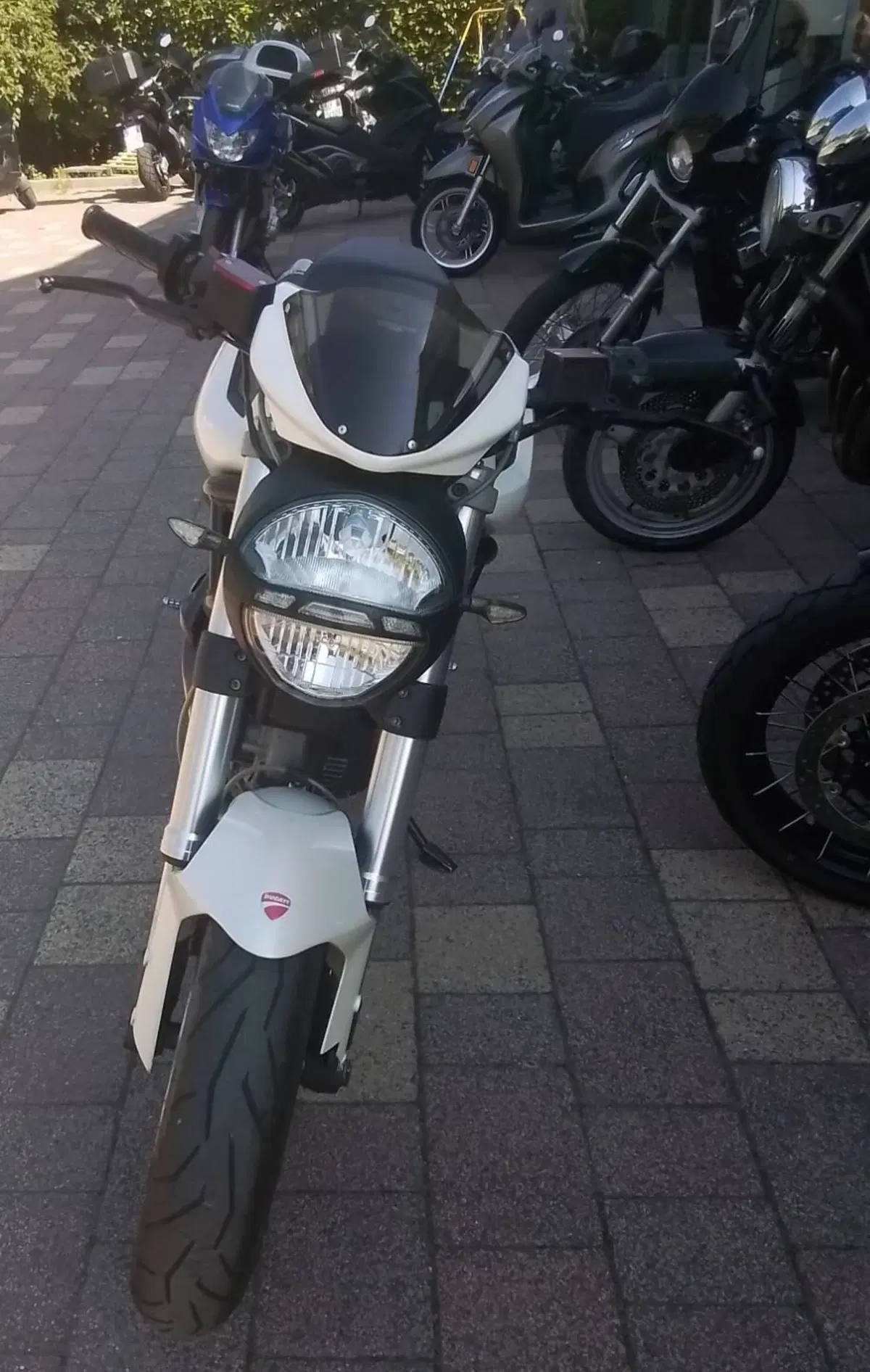 Ducati Monster 696 (2008 - 13) (16)