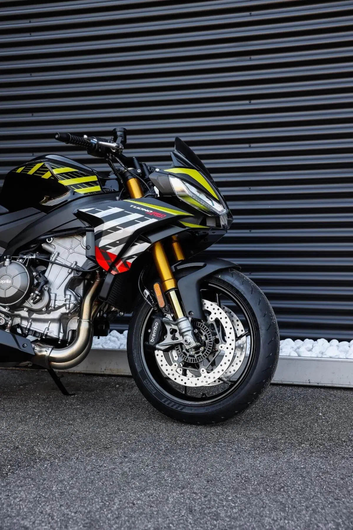 Aprilia Tuono 660 Factory (2025 - 26) (5)
