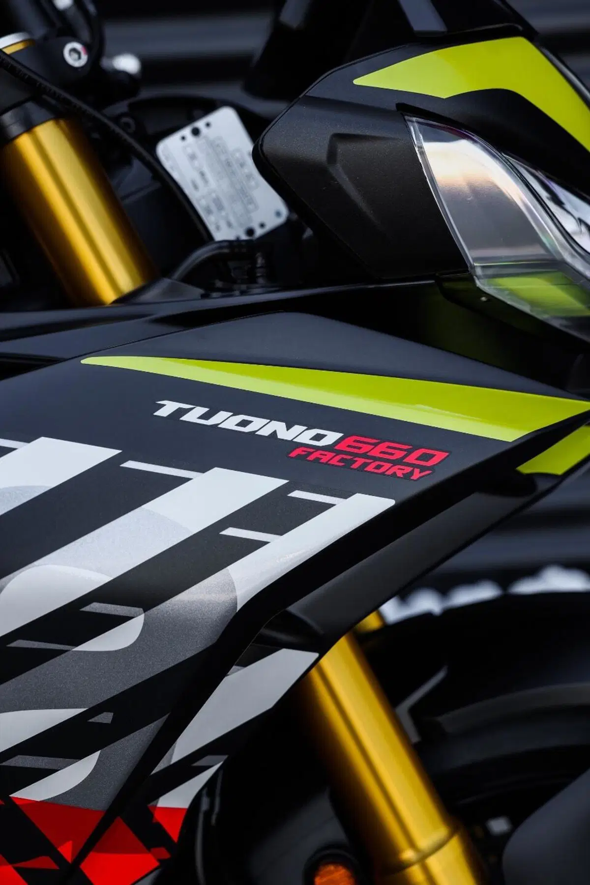 Aprilia Tuono 660 Factory (2025 - 26) (7)