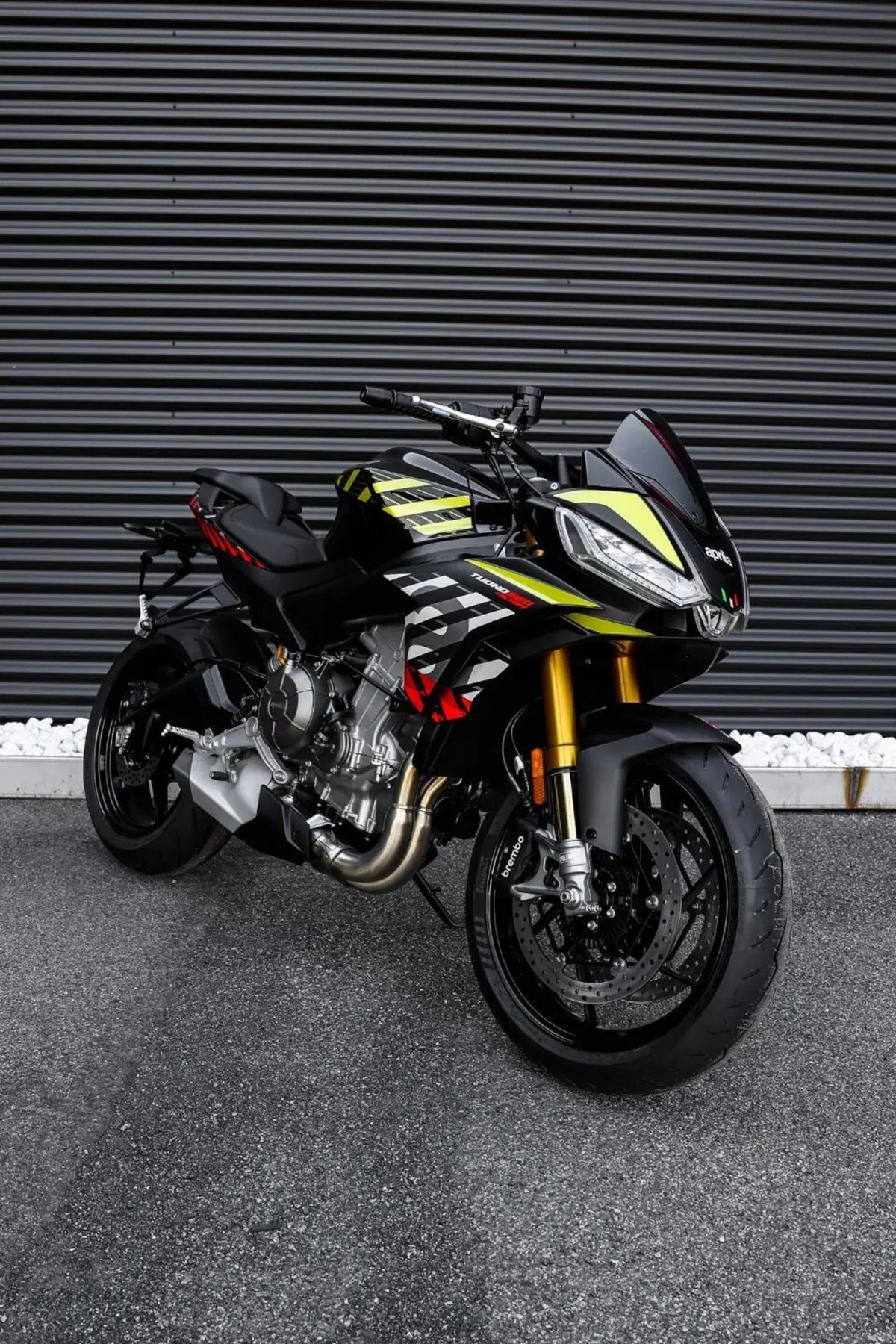 Aprilia Tuono 660 Factory (2025 - 26) (2)
