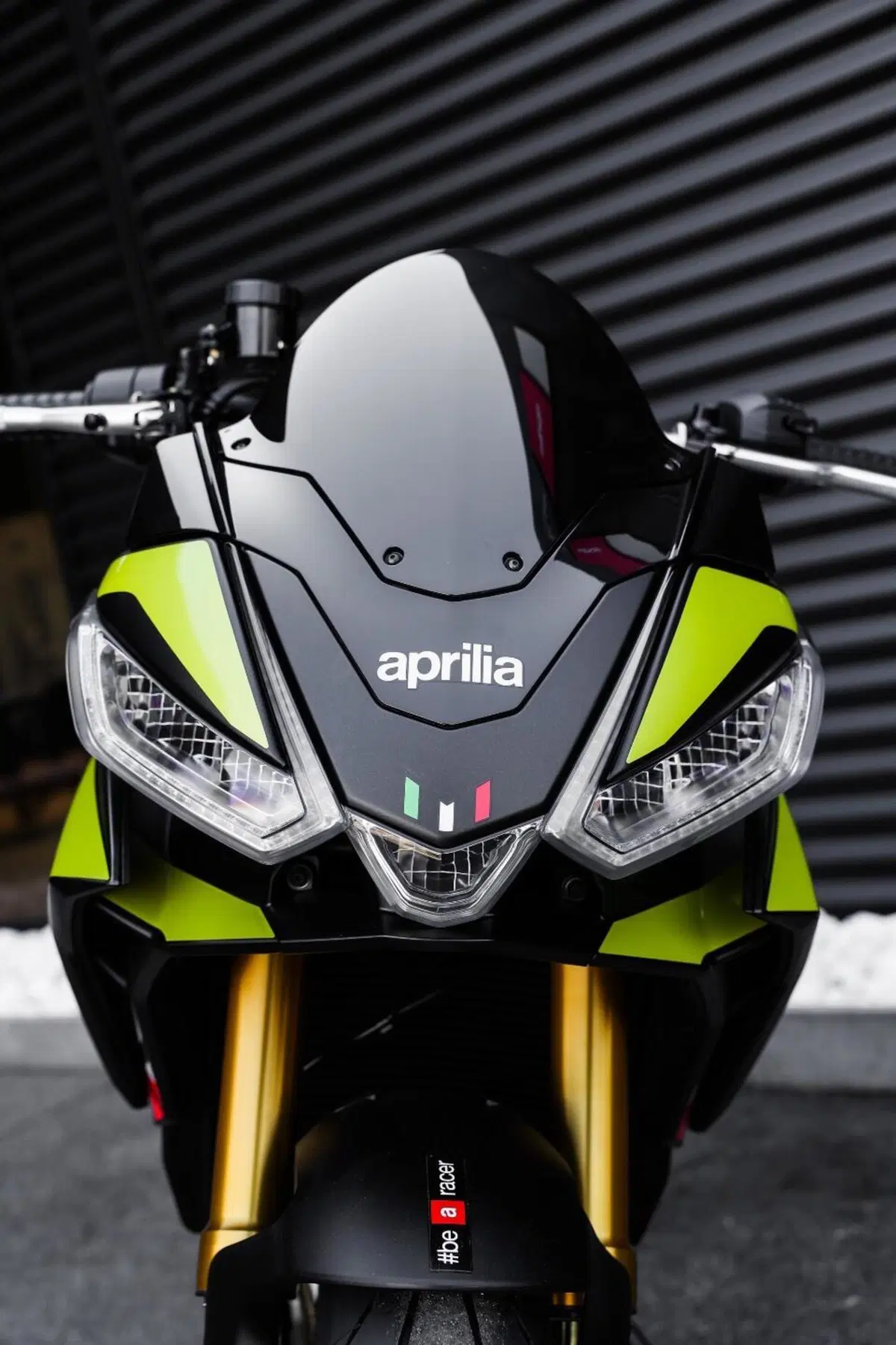 Aprilia Tuono 660 Factory (2025 - 26) (18)