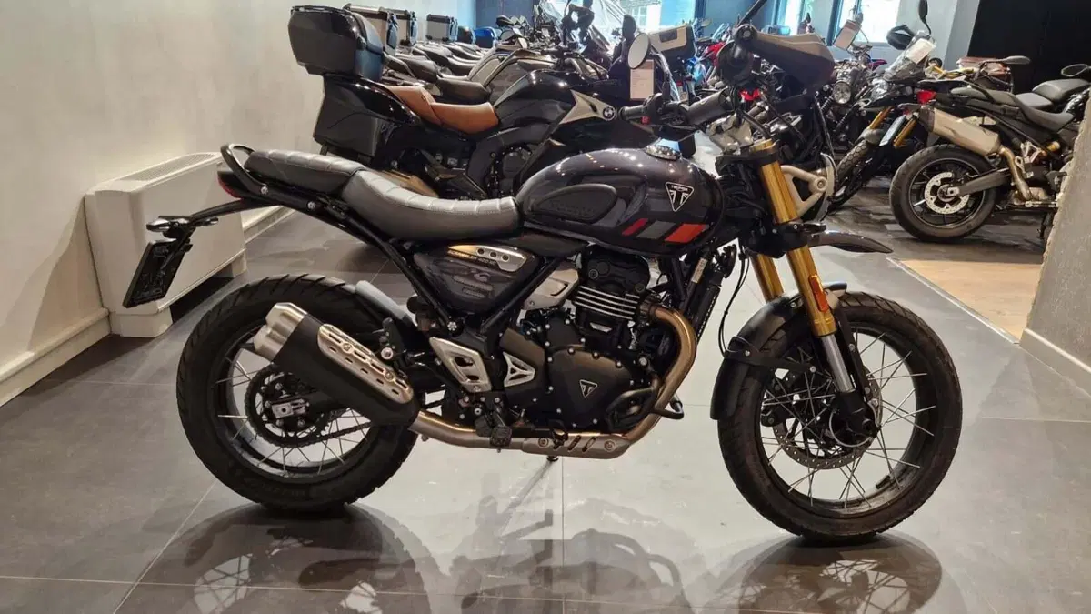 Triumph Scrambler 400 XC (2025 - 26) (5)