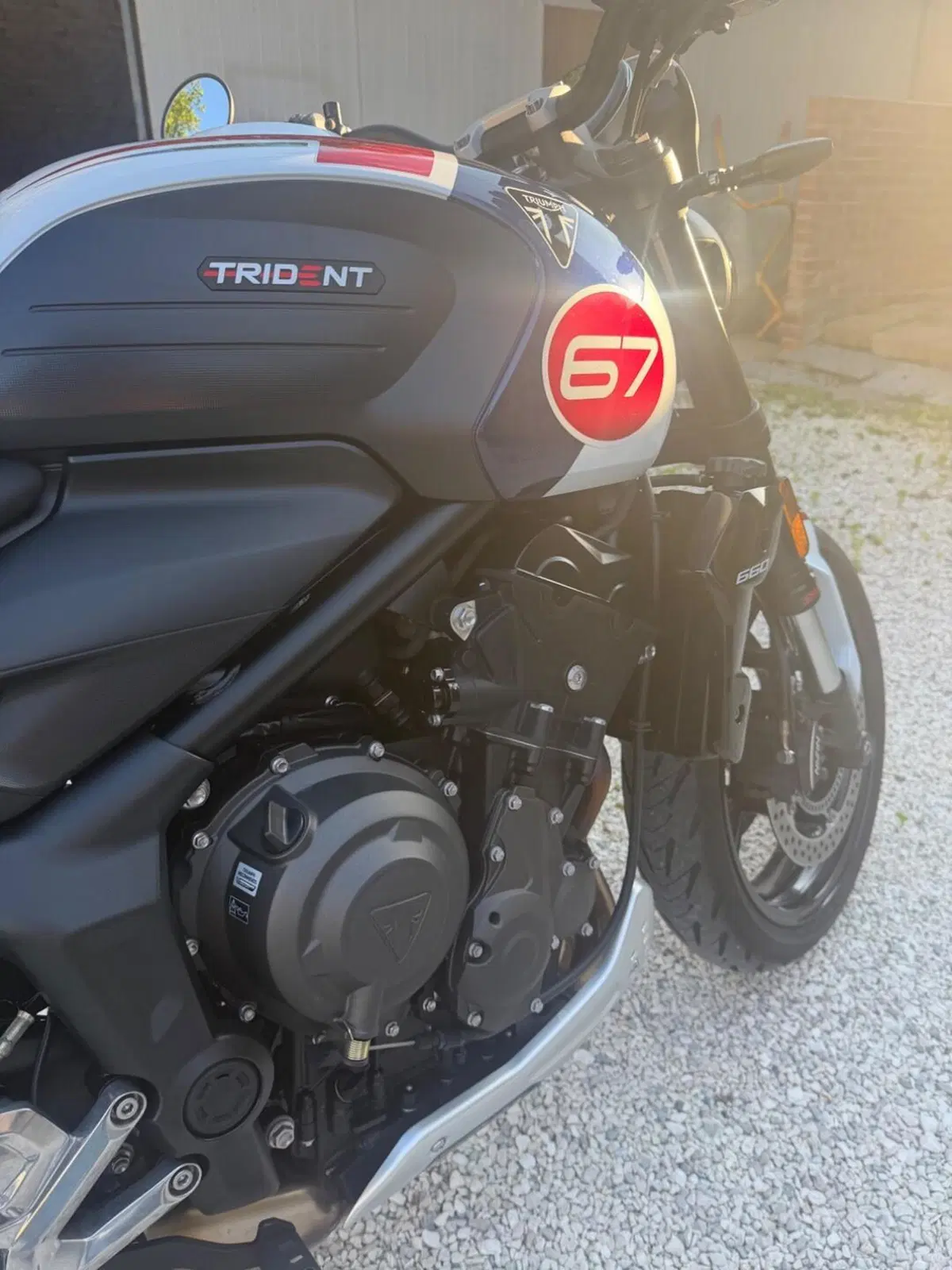 Triumph Trident 660 Triple Tribute Edition (2024) (3)