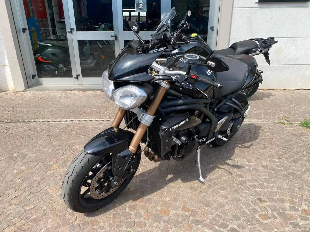 Triumph Speed Triple 1050 (2011 - 13) (4)