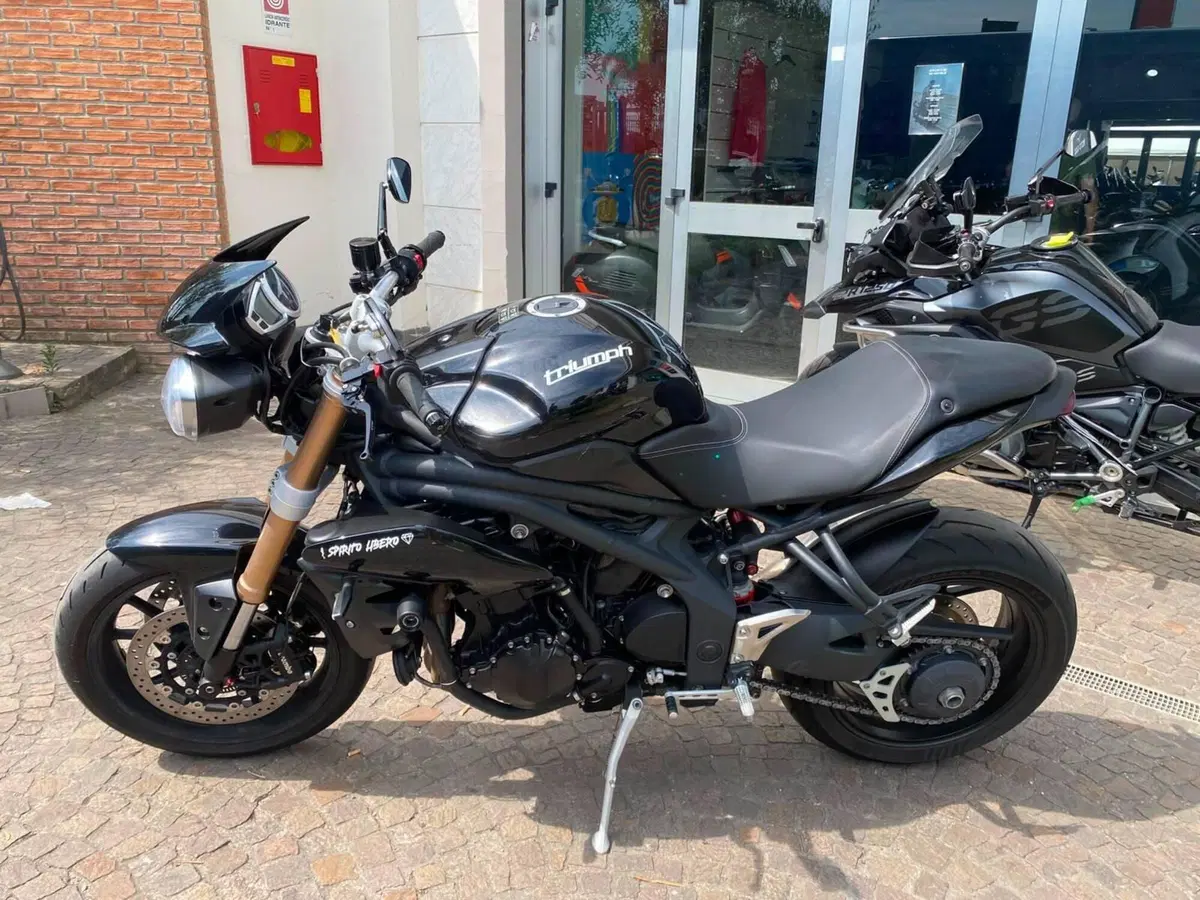 Triumph Speed Triple 1050 (2011 - 13) (2)