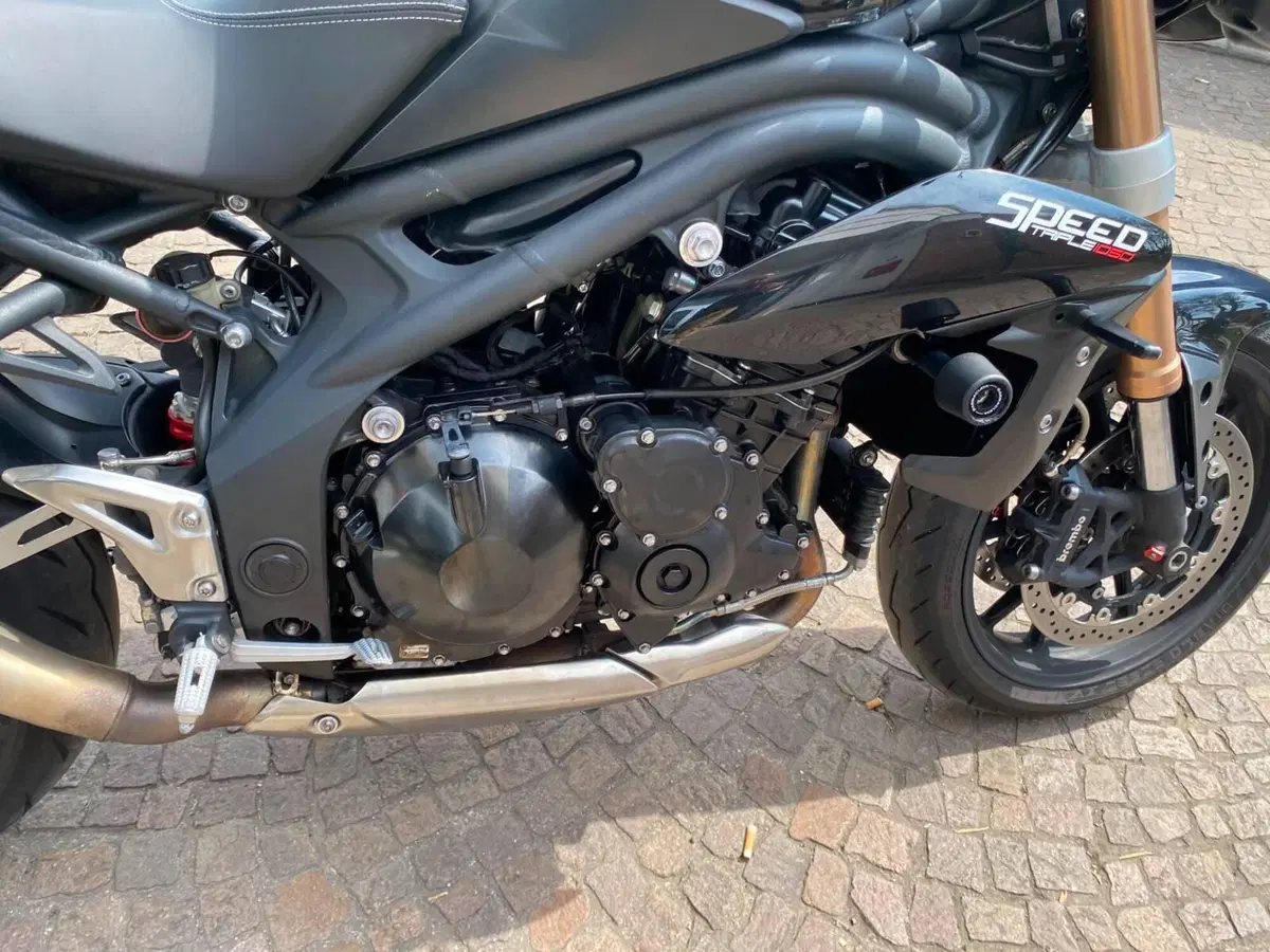 Triumph Speed Triple 1050 (2011 - 13) (5)