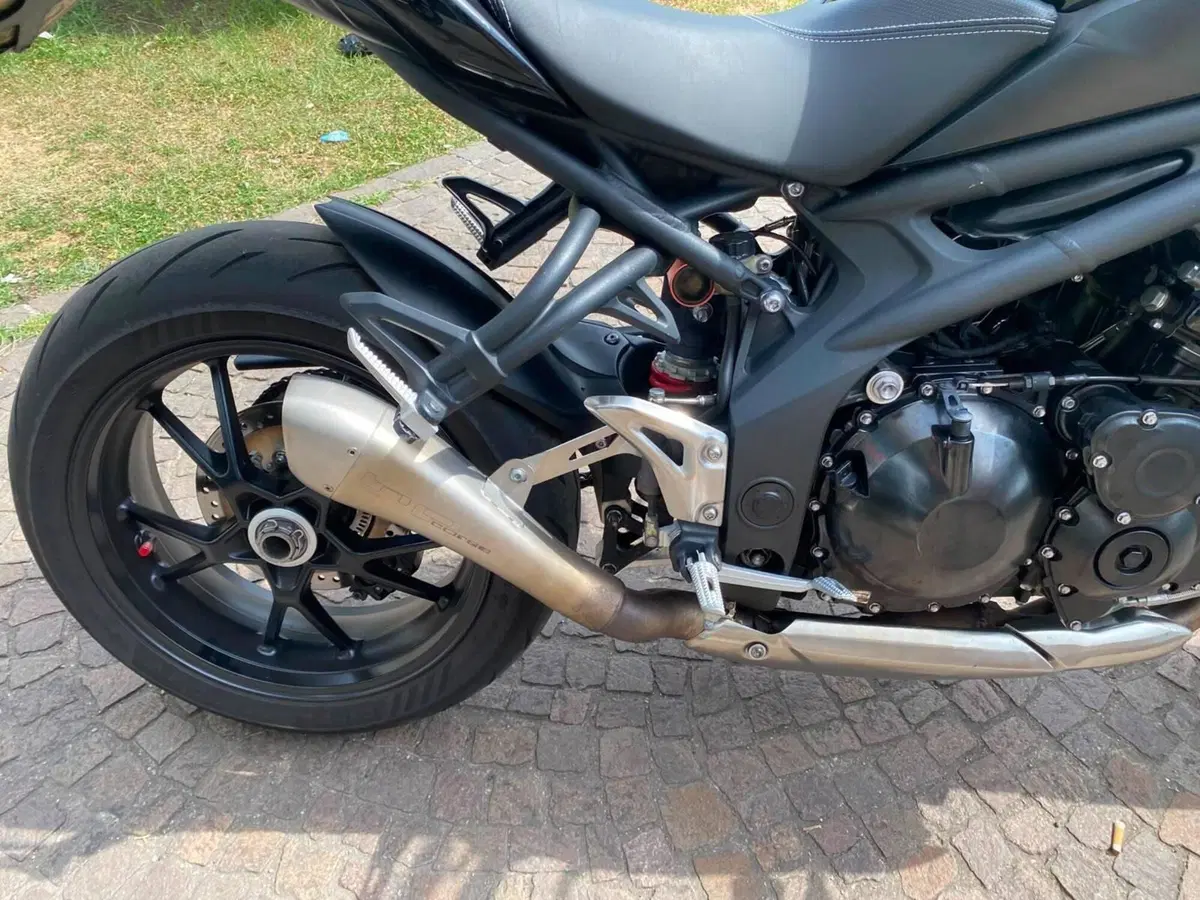 Triumph Speed Triple 1050 (2011 - 13) (6)