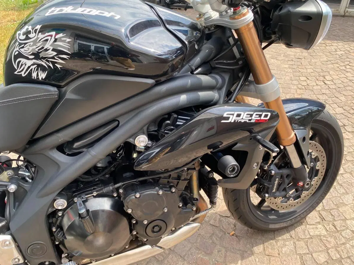 Triumph Speed Triple 1050 (2011 - 13) (7)