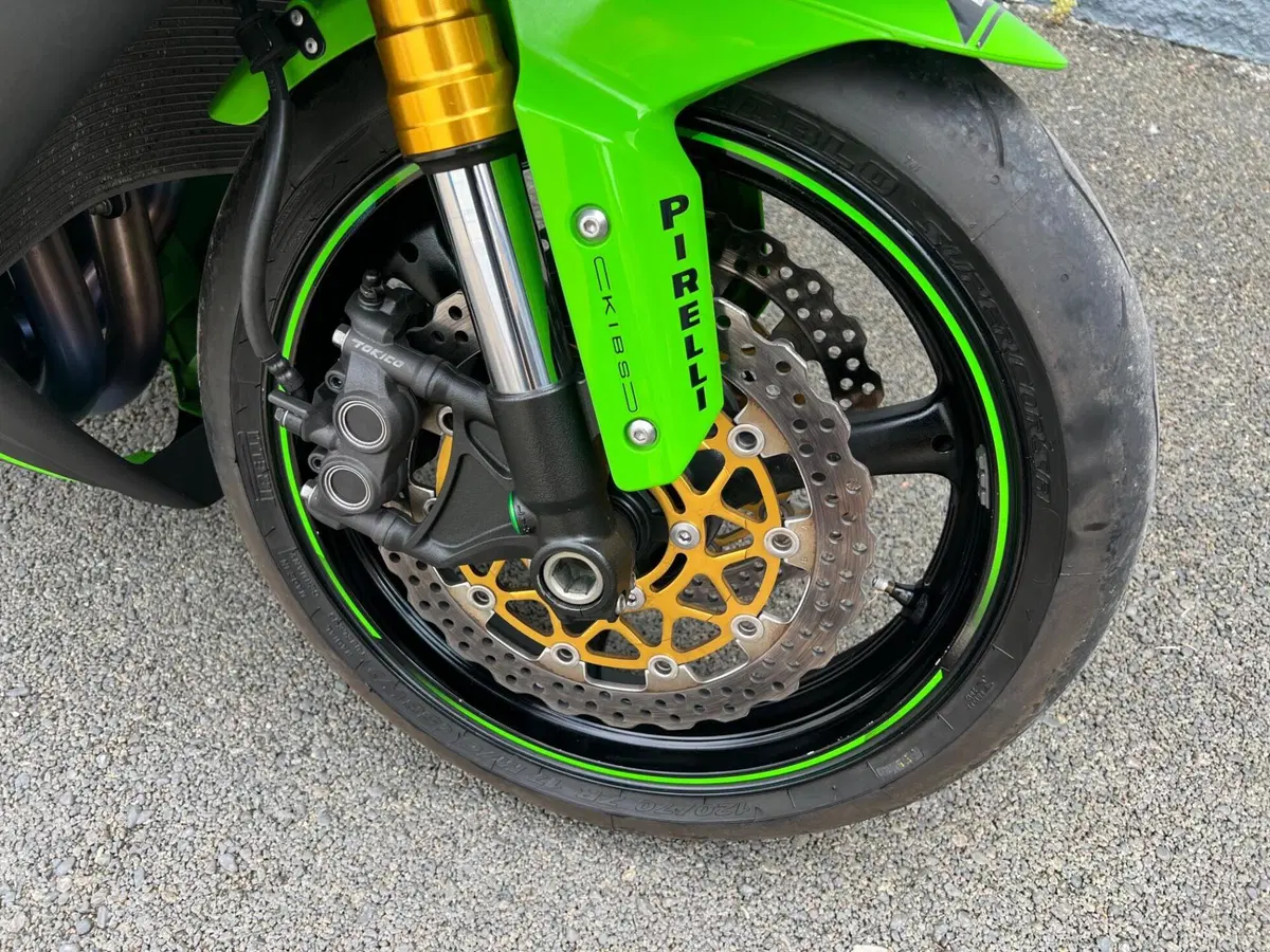 Kawasaki Ninja 1000 ZX-10R (2016) (17)