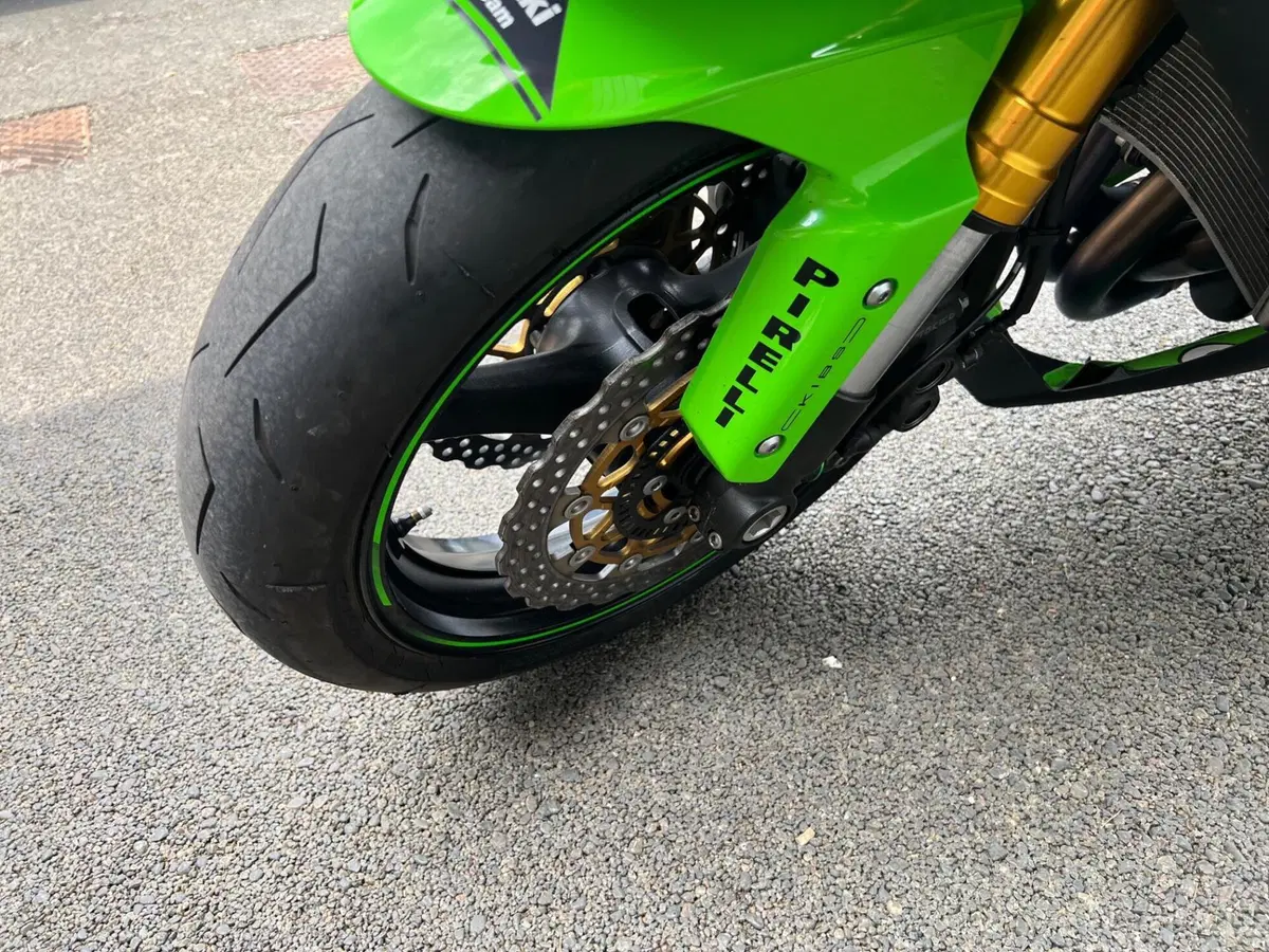 Kawasaki Ninja 1000 ZX-10R (2016) (18)