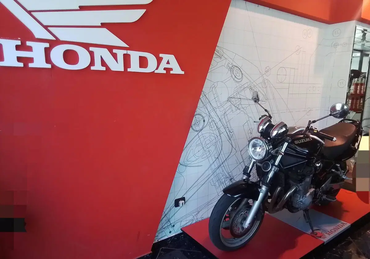 Suzuki GSF 600 Bandit (2000 - 05) (2)