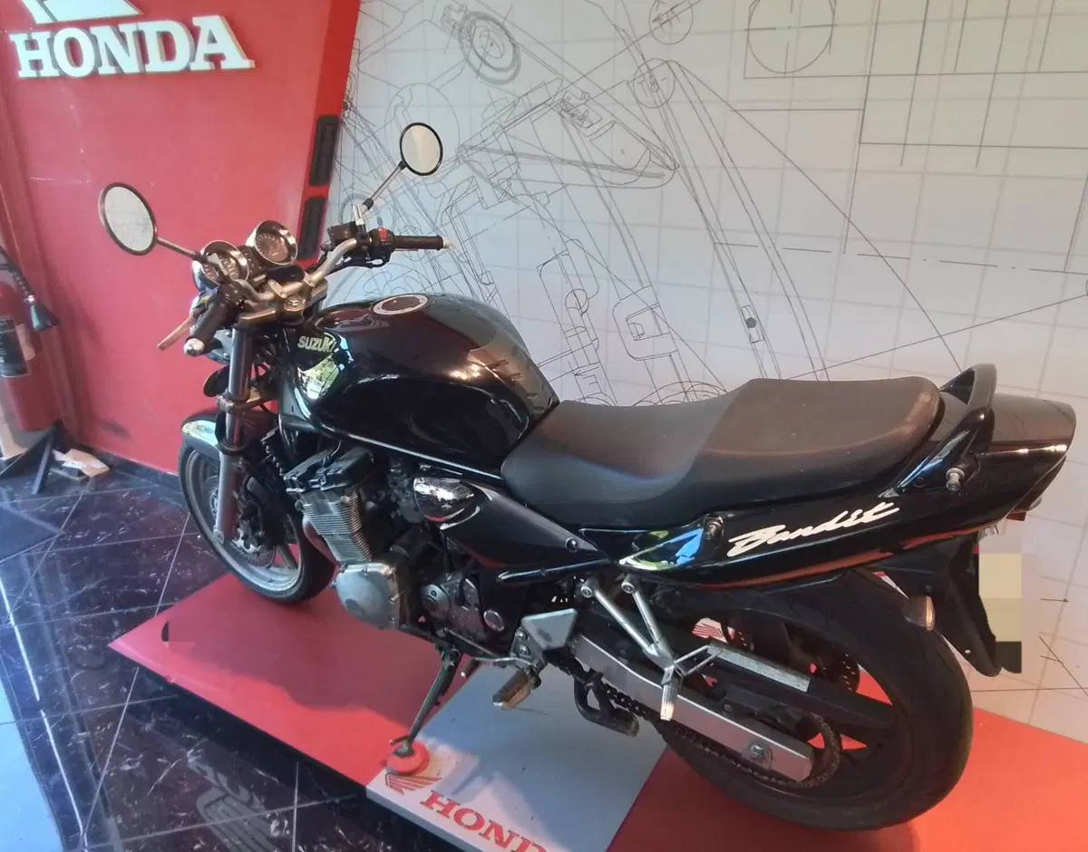 Suzuki GSF 600 Bandit (2000 - 05) (3)