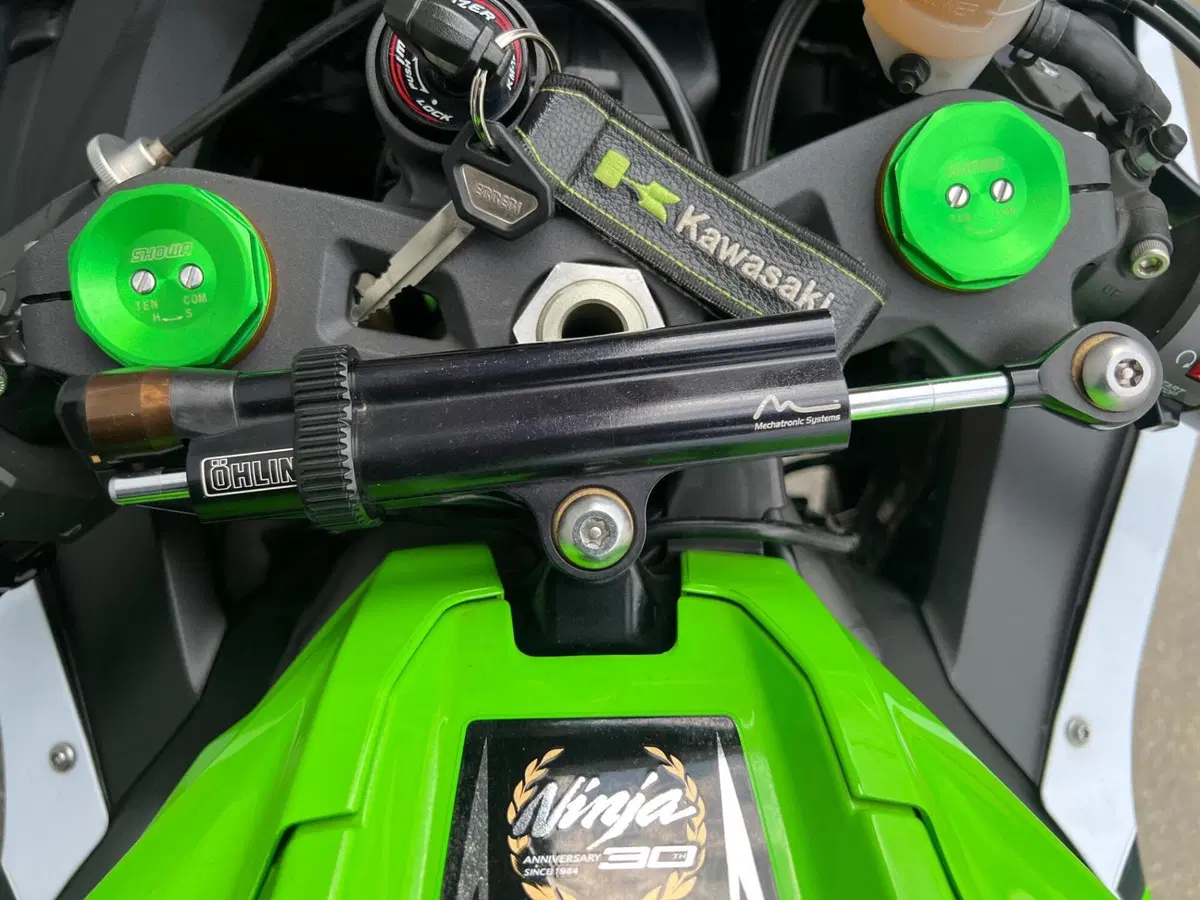 Kawasaki Ninja 1000 ZX-10R (2016) (10)