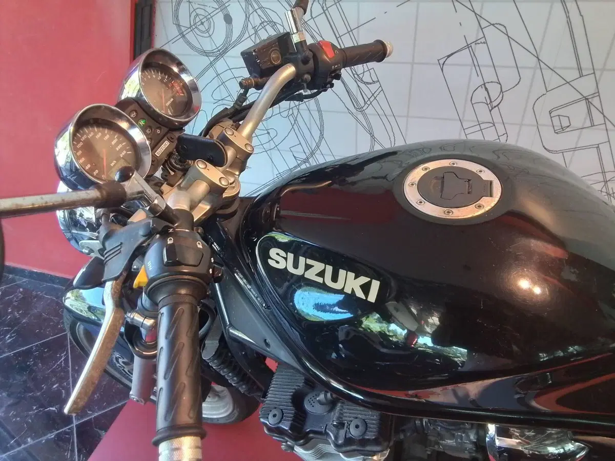 Suzuki GSF 600 Bandit (2000 - 05) (7)