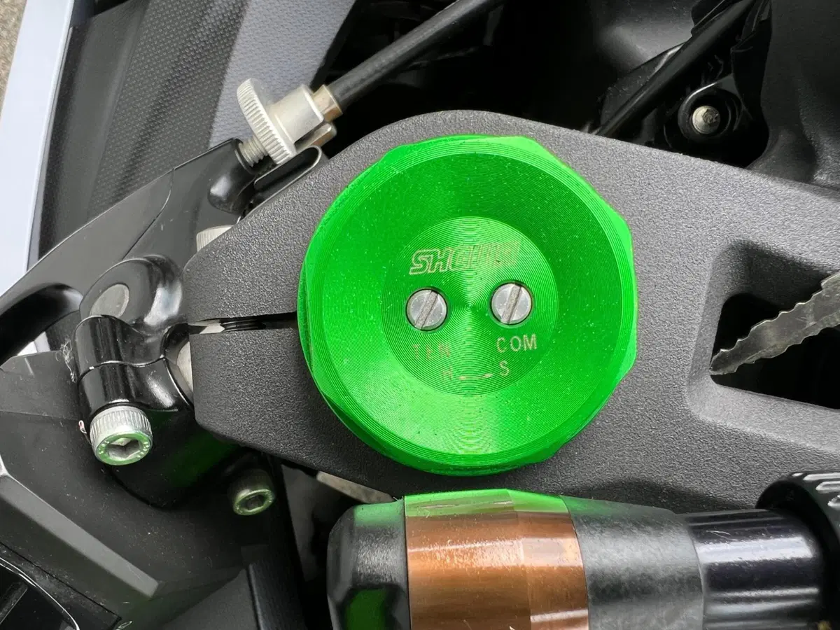 Kawasaki Ninja 1000 ZX-10R (2016) (15)