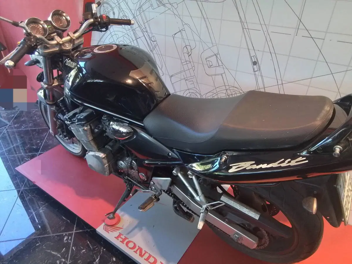 Suzuki GSF 600 Bandit (2000 - 05) (8)