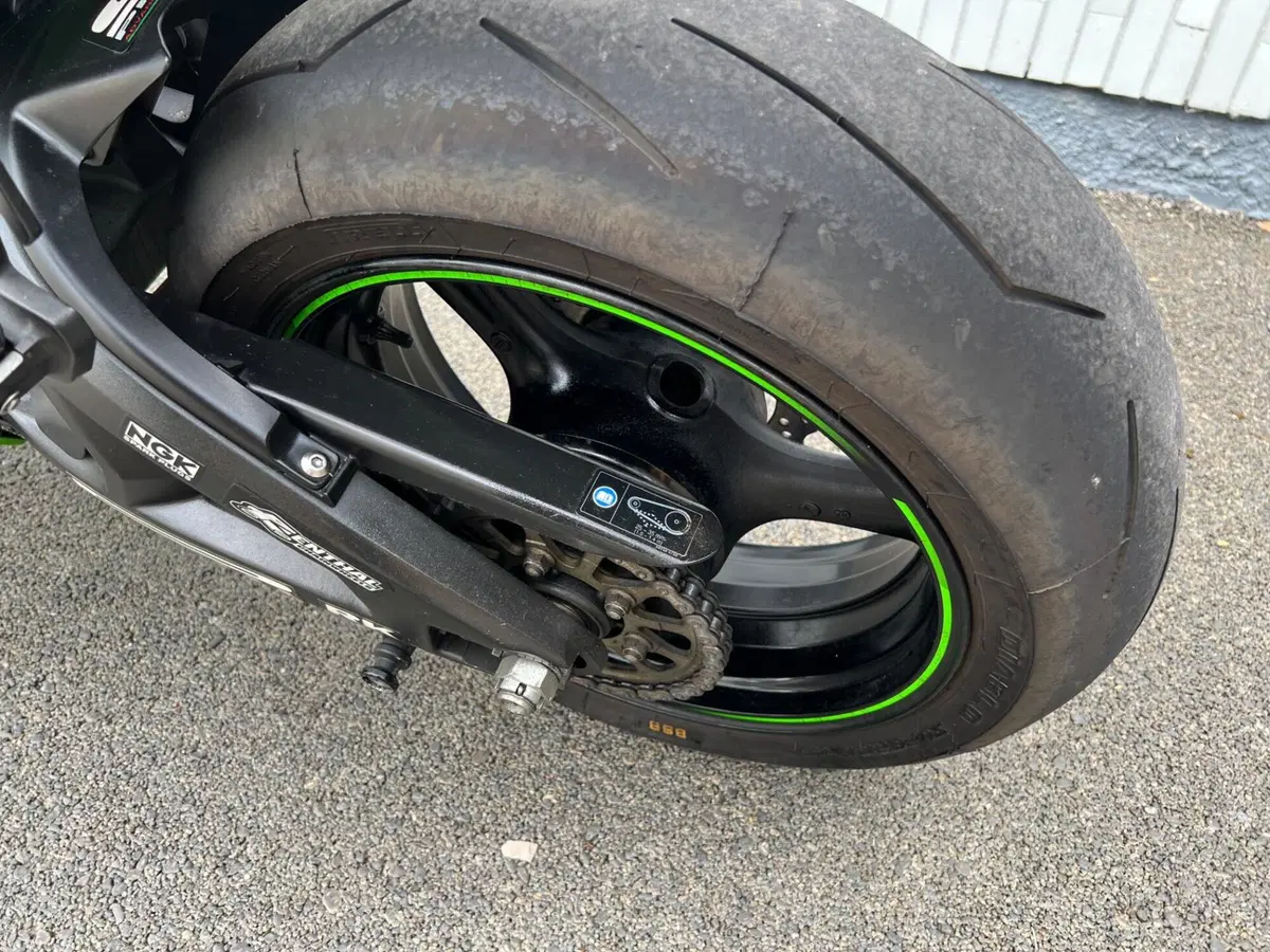 Kawasaki Ninja 1000 ZX-10R (2016) (19)