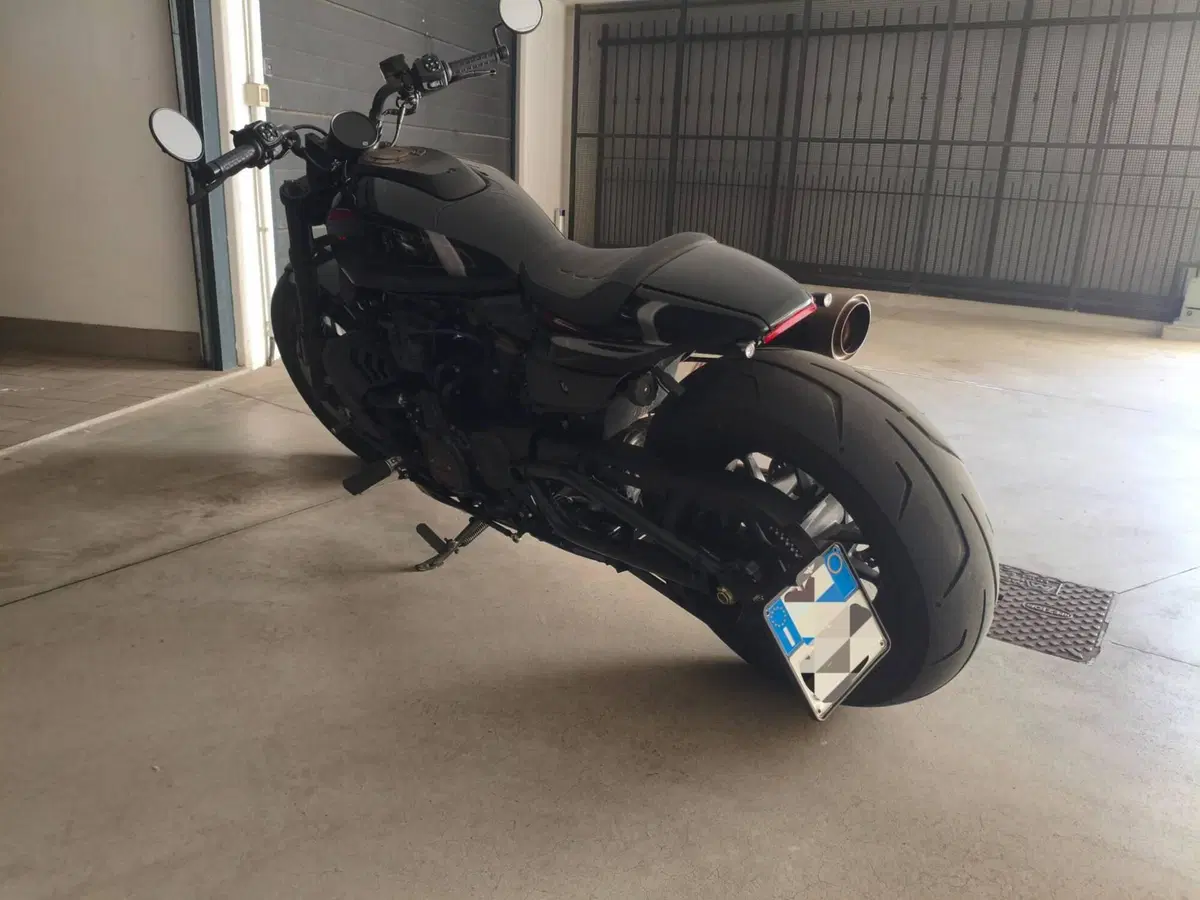Harley-Davidson Sportster S (2022 - 24) (2)