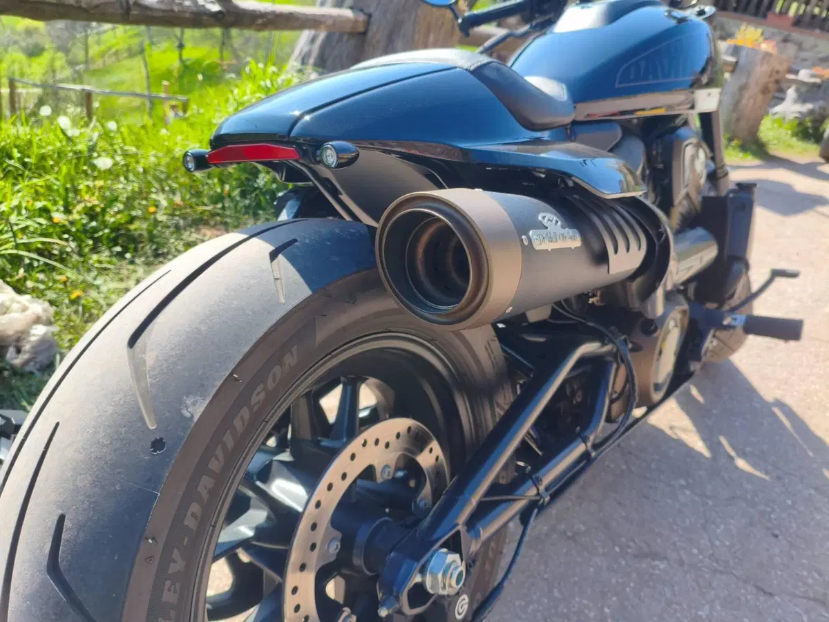 Harley-Davidson Sportster S (2022 - 24) (4)