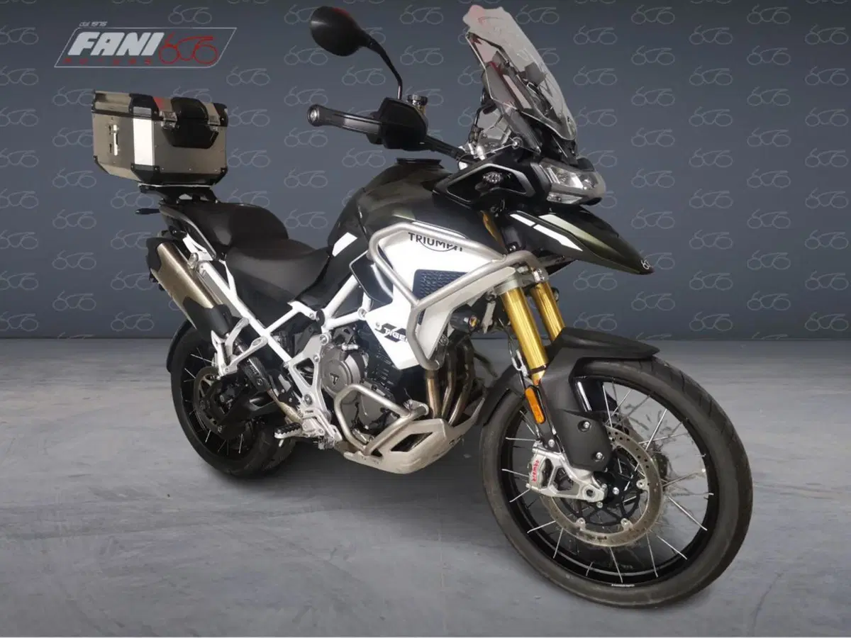 Triumph Tiger 1200 Rally Pro (2022 - 23) (2)