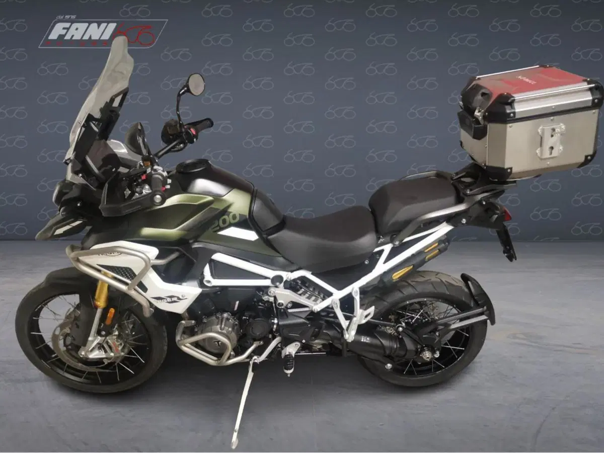 Triumph Tiger 1200 Rally Pro (2022 - 23) (3)