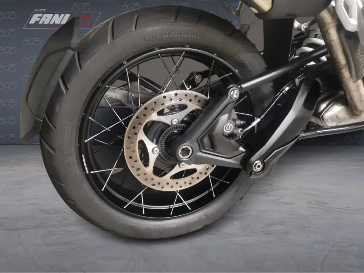 Triumph Tiger 1200 Rally Pro (2022 - 23) (5)