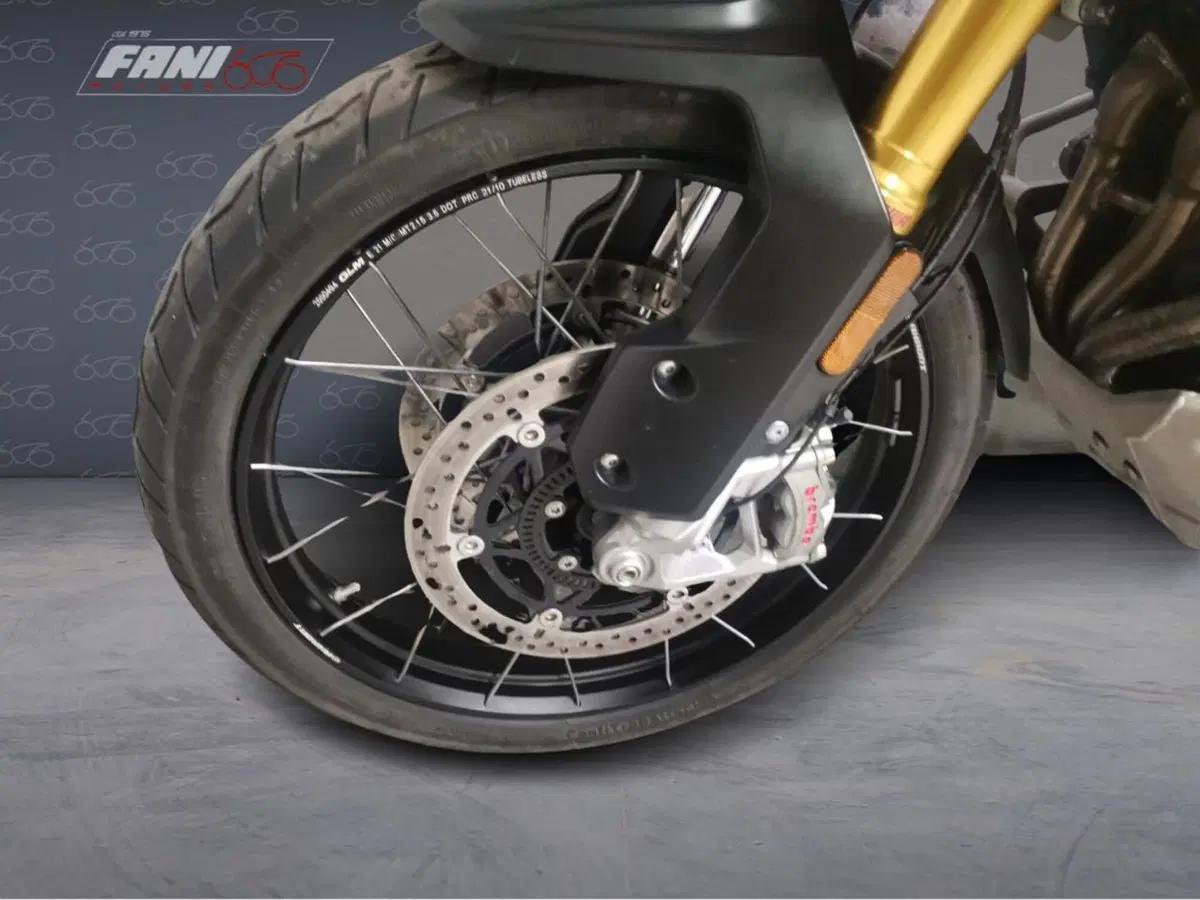 Triumph Tiger 1200 Rally Pro (2022 - 23) (6)